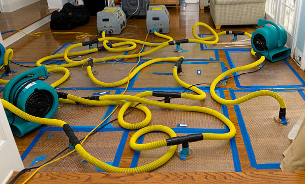 Professional Flood Damage Restoration technician working in Sunnyside, NY